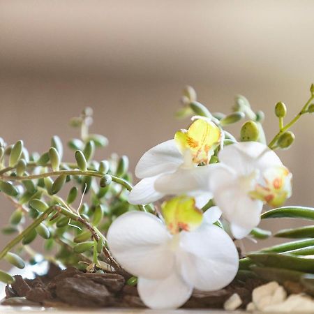 Villa Orselina - Small Luxury Hotel Muralto 外观 照片