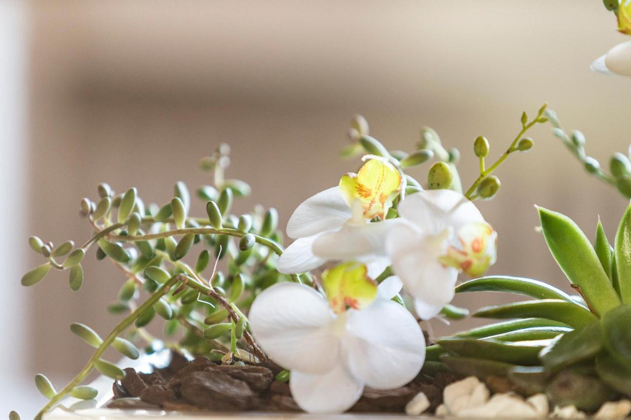 Villa Orselina - Small Luxury Hotel Muralto 外观 照片